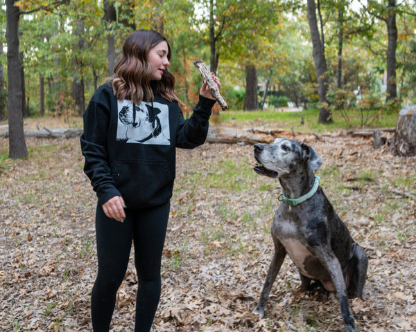 bulldog hoodie